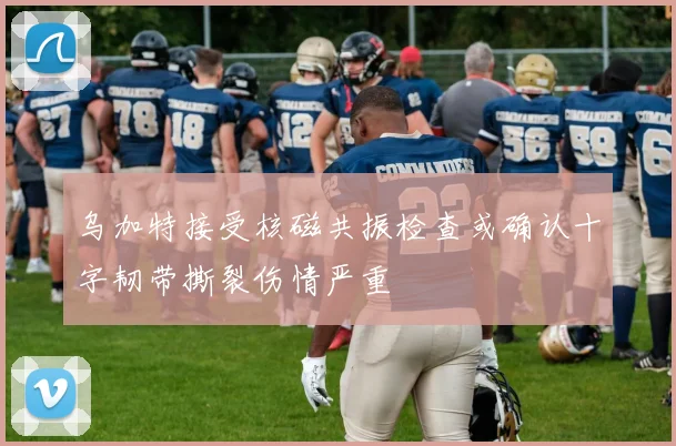 乌加特接受核磁共振检查或确认十字韧带撕裂伤情严重